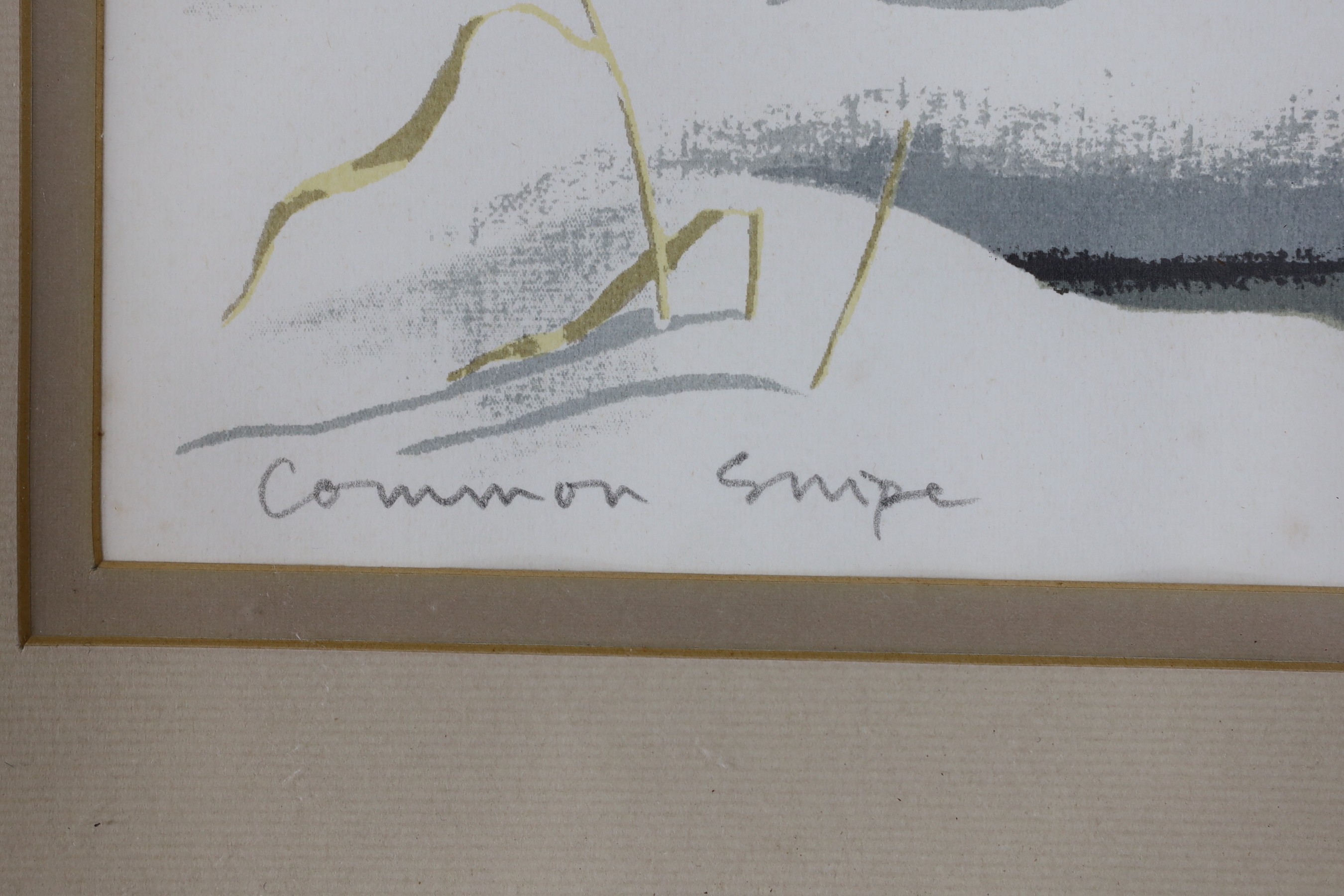 John Tennent (1926-), screenprint, 'Common Snipe', signed and dated 1986, 20/75, 31 x 43cm